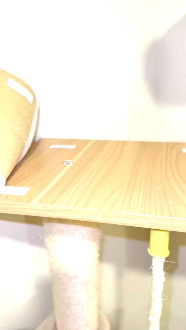 537196551